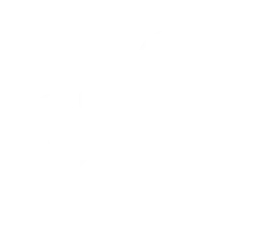 Doctor meeting with a professional client